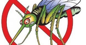 8 ароматов против комаров