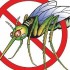 8 ароматов против комаров