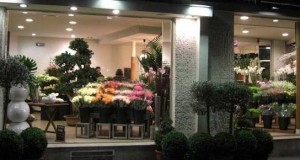 Как я открыла цветочный магазин